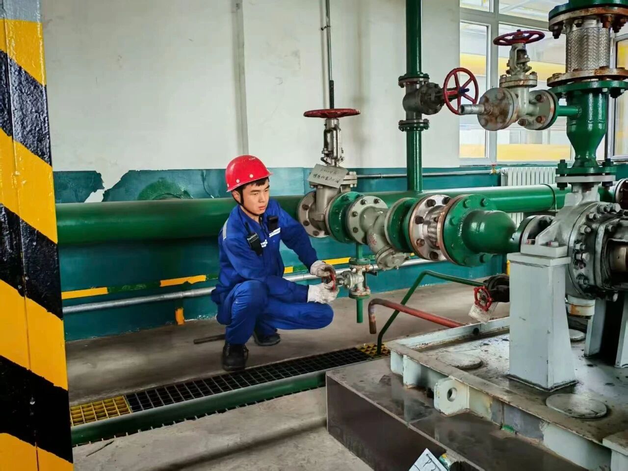 1760670004109235.jpeg 1760670004109235.jpeg